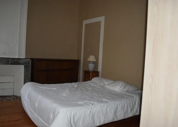 Appartement De Caractere Plein Centre