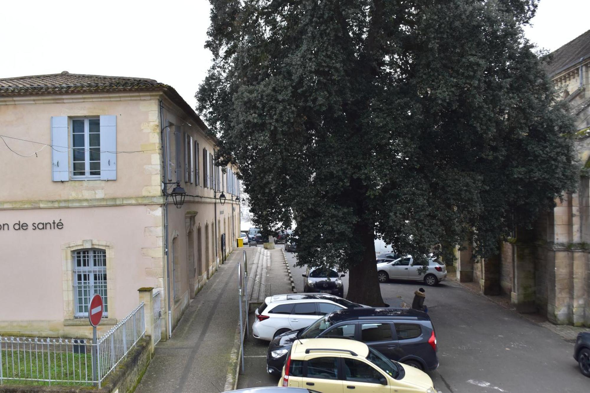 De Caractere Plein Centre * Bourg-sur-Gironde